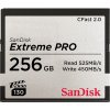 Paměťová karta SanDisk SDC 256 gb FSP-256G-G46D