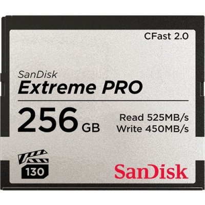 SanDisk SDC 256 gb FSP-256G-G46D