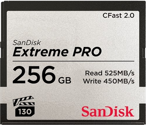 SanDisk SDC 256 gb FSP-256G-G46D