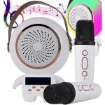 Verk 27312 Karaoke 5 W 2x bezdrátový mikrofon bílý – Zboží Dáma
