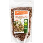Zdravý den Směs semen na klíčení Bio brokolice, ředkev červená, jetel 200 g – Hledejceny.cz