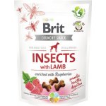 Brit Care Dog Crunchy Cracker Insects with Lamb enriched with Raspberries 200 g – Zboží Dáma