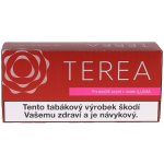 TEREA SIENNA karton – Zboží Dáma