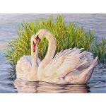 Norimpex Diamantové malování Labutě v rákosí 30 x 40 cm – Hledejceny.cz