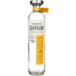 GinRaw Gastronomic Gin 42,3% 0,7 l (holá láhev) – Zboží Mobilmania