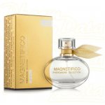 MAGNETIFICO Pheromone Selection 50 ml – Zboží Dáma