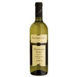 Mora Chardonnay pozdní sběr barrique Vinařství Mora suché bílé 2021 13,5% 0,75 l (holá láhev) – Hledejceny.cz