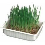 Camon tráva z ječmene 130 g – Sleviste.cz