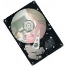 Pevný disk interní Seagate Pipeline 320GB, 3,5", 7200rpm, SATAII, ST3320310CS