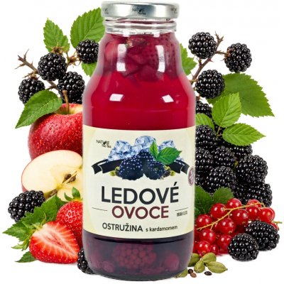 Nature Notea Ledové ovoce Ostružina s kardamonem 330 ml – Zboží Dáma