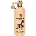 Montale Arabians parfémovaná voda unisex 100 ml – Hledejceny.cz