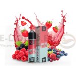 Infamous Liqonic Juicy Red Fruits 10 ml – Zbozi.Blesk.cz