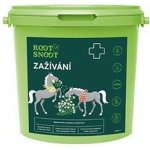 Leros Zažívání Horse 1 kg – Hledejceny.cz