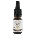 Bachovy květové Bio esence Slivoň třešňová Cherry Plum 10 ml – Hledejceny.cz