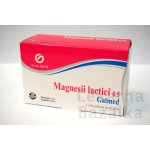 Galmed Magnesii lactici 0,5 g 100 tablet – Hledejceny.cz