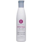 Berrywell Kristal Klar Silver Shampoo 251 ml – Zbozi.Blesk.cz