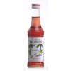 Šťáva Monin Grenadine 250 l