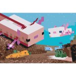 MALUJEŠ Malování podle čísel MINECRAFT AXOLOTL Rozměr 40 x 60 cm Rámování vypnuté plátno na rám – Hledejceny.cz