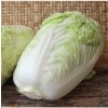 Osivo a semínko Zelí pekingské Granaat - Brassica pekinensis - semena - 200 ks