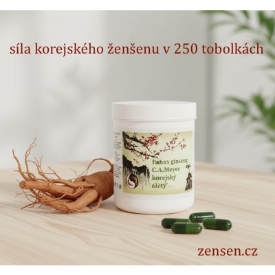 4betterlife Ženšen korejský červený mletý MAX 250 tobolek 100 g – Hledejceny.cz