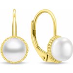 Brilio Silver náušnice EA1140Y – Zboží Mobilmania