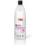 PSH Vybělovací Titanový 250 ml – HobbyKompas.cz