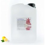 PM Aqualog esence do parních kabin ledový limon 815-003/D 3 l – Hledejceny.cz