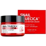 Some By Mi Snail Truecica Miracle Repair Cream 60 ml – Zboží Mobilmania