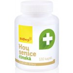Wolfberry Housenice čínská Cordyceps sinensis 120 kapslí – Hledejceny.cz