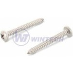 Šroub do plechu 4,2 x 22 DIN 7981C A2 Balení: 1000 ks SCBEB42022AO0 – Zboží Mobilmania