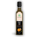 Green idea Dýňový olej 250 ml – Hledejceny.cz