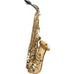 Selmer SA80 II – Zbozi.Blesk.cz