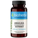 Bioherba Extrakt z angeliky 270 mg 100 kapsúl – Hledejceny.cz