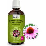 Herbavis Třapatka nachová Echinacea tinktura 50 ml – Hledejceny.cz