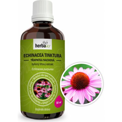 Herbavis Třapatka nachová Echinacea tinktura 50 ml – Zboží Mobilmania