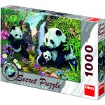 Dino Pandy secret collection 1000 dílků – Zboží Mobilmania