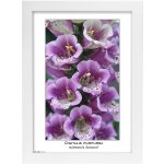 TRADAG Natura 21 x 29,7 - A4 bílý – Hledejceny.cz