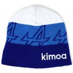 Alpine F1 Alonso beanie White-Blue-Navy – Hledejceny.cz