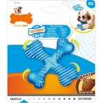 Nylabone Puppy Teething X Bone Beef S – Zbozi.Blesk.cz