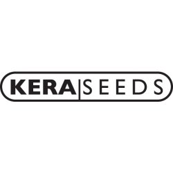 Kera Seeds Medical White Widow CBD semena neobsahují THC 5 ks