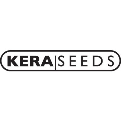 Kera Seeds Empire Of The Sun semena neobsahují THC 1 ks – Zboží Mobilmania