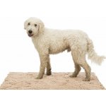 Trixie Podložka absorbující nečistoty voděodolná – Zboží Dáma Trixie Podložka absorbující nečistoty voděodolná – Zboží Dáma