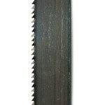 Scheppach pilový pás HBS 20 3901504037 – Zboží Dáma