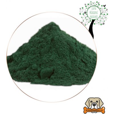 Krmiva Hulín Chlorella prášek 100 g – Hledejceny.cz