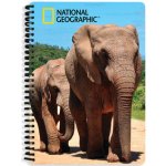 Alltoys Sešit 3D A5 Sloni – Zbozi.Blesk.cz