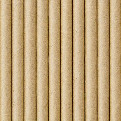Partydeco Papírové brčka kraftové 19,5 cm 10 ks – Sleviste.cz