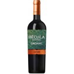 Bodegas Castaňo Monastrell Hécula Organic 2021 14,5% 0,75 l (holá láhev) – Hledejceny.cz