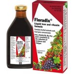 Salus Floradix Železo+ 500 ml – Hledejceny.cz