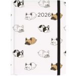 Albi B6 DENNÍ 2026 – Zboží Živě