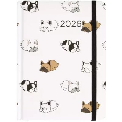 Albi B6 DENNÍ 2026 – Zboží Živě